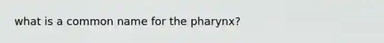 what is a common name for the pharynx?