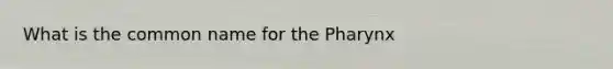 What is the common name for the Pharynx