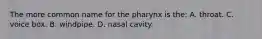 The more common name for the pharynx is the: A. throat. C. voice box. B. windpipe. D. nasal cavity.