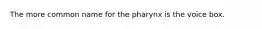 The more common name for the pharynx is the voice box.