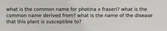 what is the common name for photina x fraseri? what is the common name derived from? what is the name of the disease that this plant is susceptible to?