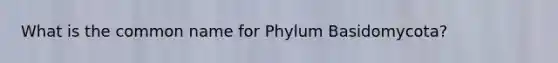 What is the common name for Phylum Basidomycota?