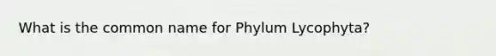 What is the common name for Phylum Lycophyta?