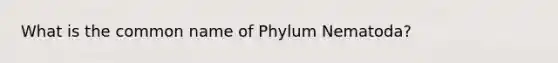 What is the common name of Phylum Nematoda?