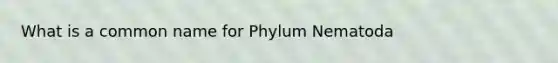 What is a common name for Phylum Nematoda