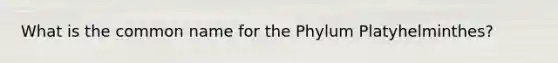 What is the common name for the Phylum Platyhelminthes?