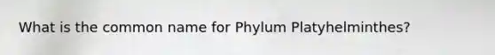 What is the common name for Phylum Platyhelminthes?