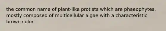 the common name of plant-like protists which are phaeophytes, mostly composed of multicellular algae with a characteristic brown color