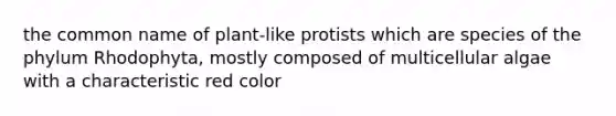 the common name of plant-like protists which are species of the phylum Rhodophyta, mostly composed of multicellular algae with a characteristic red color