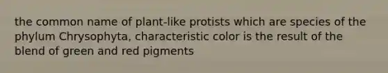 the common name of plant-like protists which are species of the phylum Chrysophyta, characteristic color is the result of the blend of green and red pigments