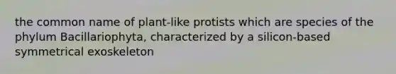 the common name of plant-like protists which are species of the phylum Bacillariophyta, characterized by a silicon-based symmetrical exoskeleton