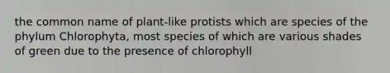 the common name of plant-like protists which are species of the phylum Chlorophyta, most species of which are various shades of green due to the presence of chlorophyll