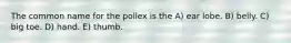 The common name for the pollex is the A) ear lobe. B) belly. C) big toe. D) hand. E) thumb.