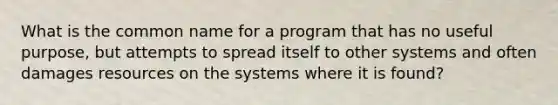 What is the common name for a program that has no useful purpose, but attempts to spread itself to other systems and often damages resources on the systems where it is found?