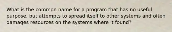 What is the common name for a program that has no useful purpose, but attempts to spread itself to other systems and often damages resources on the systems where it found?