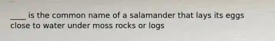 ____ is the common name of a salamander that lays its eggs close to water under moss rocks or logs