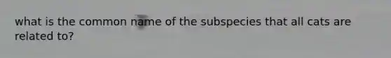 what is the common name of the subspecies that all cats are related to?