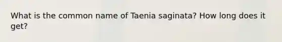 What is the common name of Taenia saginata? How long does it get?