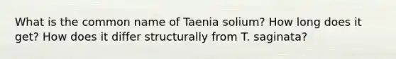 What is the common name of Taenia solium? How long does it get? How does it differ structurally from T. saginata?