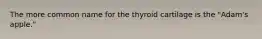 The more common name for the thyroid cartilage is the "Adam's apple."