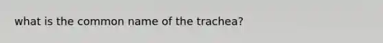 what is the common name of the trachea?