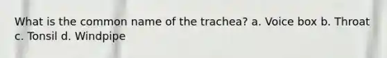What is the common name of the trachea? a. Voice box b. Throat c. Tonsil d. Windpipe