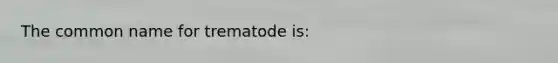 The common name for trematode is: