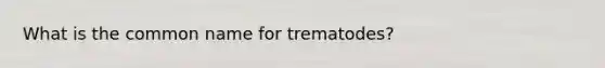 What is the common name for trematodes?