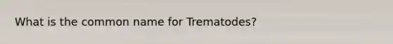 What is the common name for Trematodes?