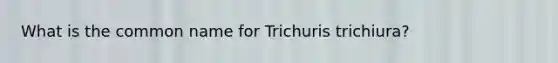 What is the common name for Trichuris trichiura?