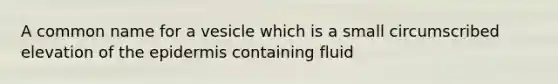 A common name for a vesicle which is a small circumscribed elevation of the epidermis containing fluid