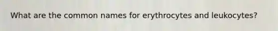 What are the common names for erythrocytes and leukocytes?