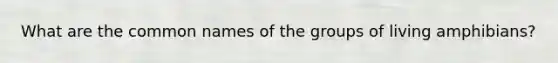 What are the common names of the groups of living amphibians?