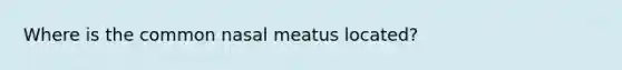 Where is the common nasal meatus located?