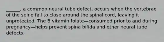 ______, a common neural tube defect, occurs when the vertebrae of the spine fail to close around the spinal cord, leaving it unprotected. The B vitamin folate—consumed prior to and during pregnancy—helps prevent spina bifida and other neural tube defects.