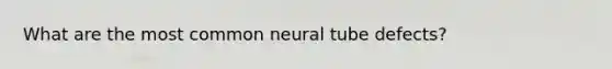 What are the most common neural tube defects?