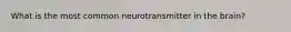 What is the most common neurotransmitter in the brain?