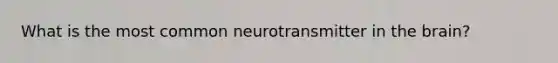 What is the most common neurotransmitter in the brain?