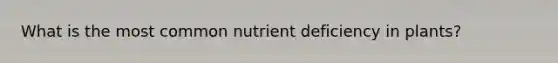 What is the most common nutrient deficiency in plants?