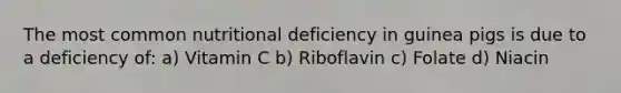 The most common nutritional deficiency in guinea pigs is due to a deficiency of: a) Vitamin C b) Riboflavin c) Folate d) Niacin