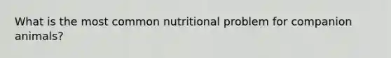 What is the most common nutritional problem for companion animals?