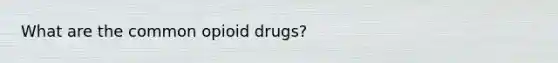 What are the common opioid drugs?