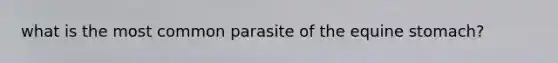 what is the most common parasite of the equine stomach?