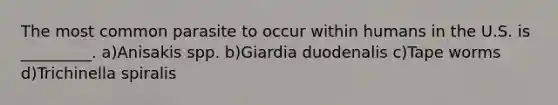 The most common parasite to occur within humans in the U.S. is _________. a)Anisakis spp. b)Giardia duodenalis c)Tape worms d)Trichinella spiralis