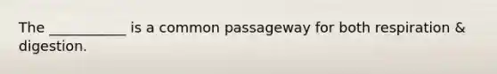 The ___________ is a common passageway for both respiration & digestion.