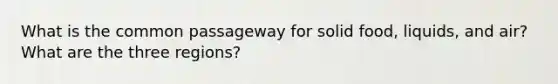 What is the common passageway for solid food, liquids, and air? What are the three regions?