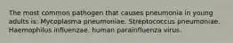 The most common pathogen that causes pneumonia in young adults is: Mycoplasma pneumoniae. Streptococcus pneumoniae. Haemophilus influenzae. human parainfluenza virus.