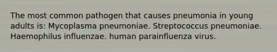 The most common pathogen that causes pneumonia in young adults is: Mycoplasma pneumoniae. Streptococcus pneumoniae. Haemophilus influenzae. human parainfluenza virus.