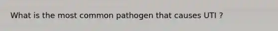 What is the most common pathogen that causes UTI ?