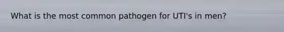 What is the most common pathogen for UTI's in men?